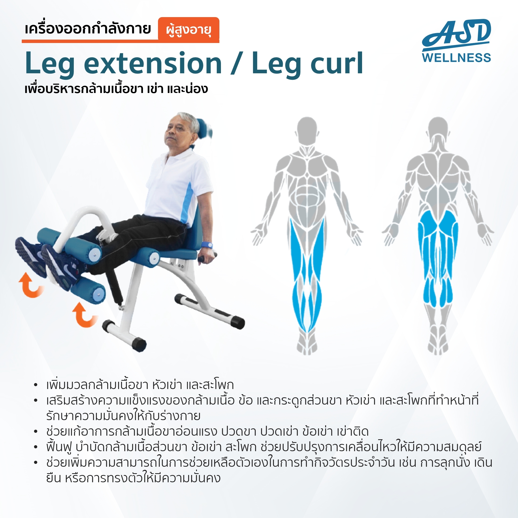 เครื่องออกกำลังกาย สำหรับผู้สูงอายุ เพื่อบริหารกล้ามเนื้อขา เข่า และน่อง Leg extension / Leg curl