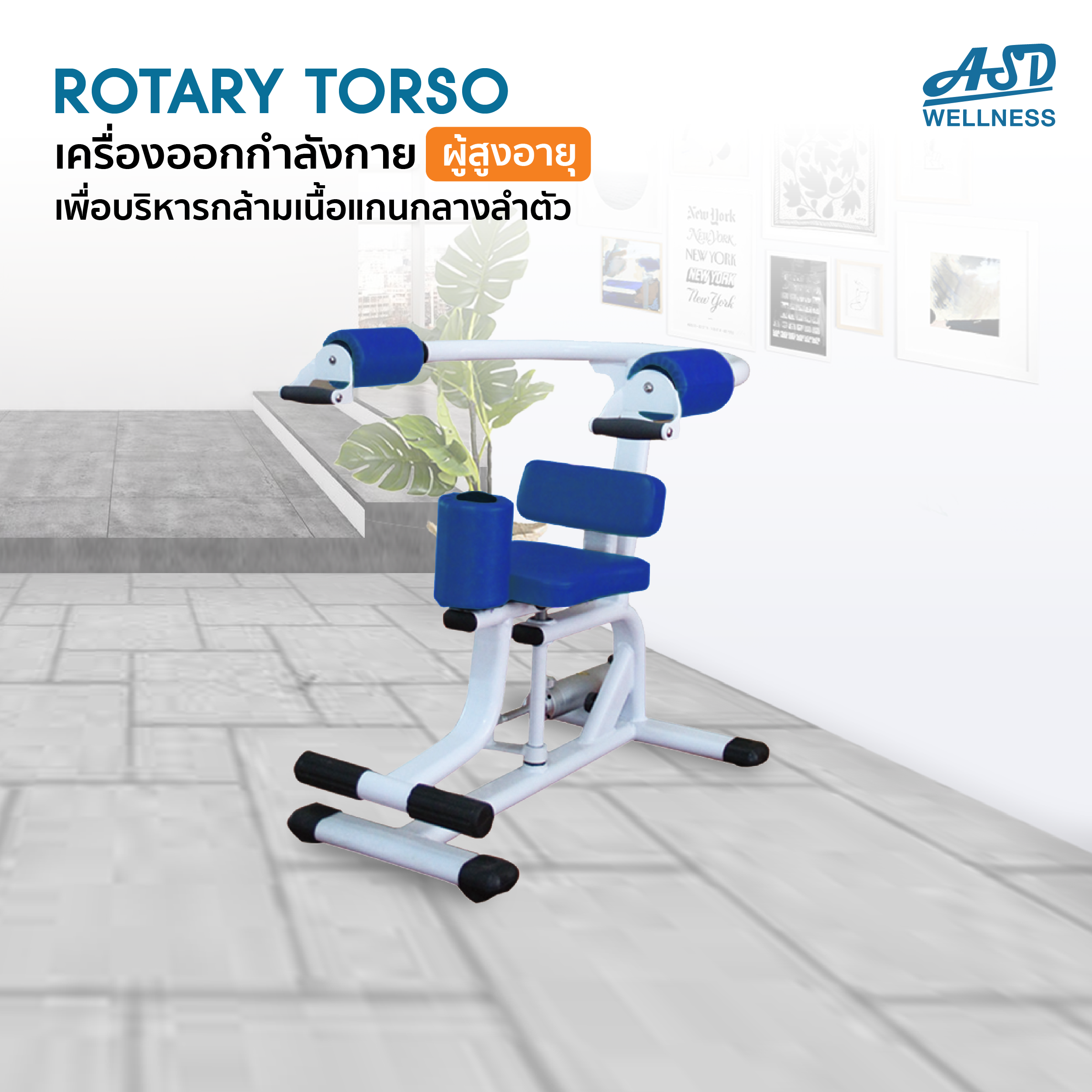 เครื่องบริหารกล้ามเนื้อส่วนกลาง(Rotary Torso)