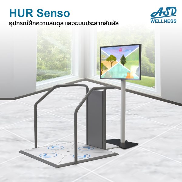อุปกรณ์ฝึกความสมดุล และระบบประสาทสัมผัส hur senso ฝึกการทรงตัว ทดสอบระบบประสาท ทดสอบการทรงตัว