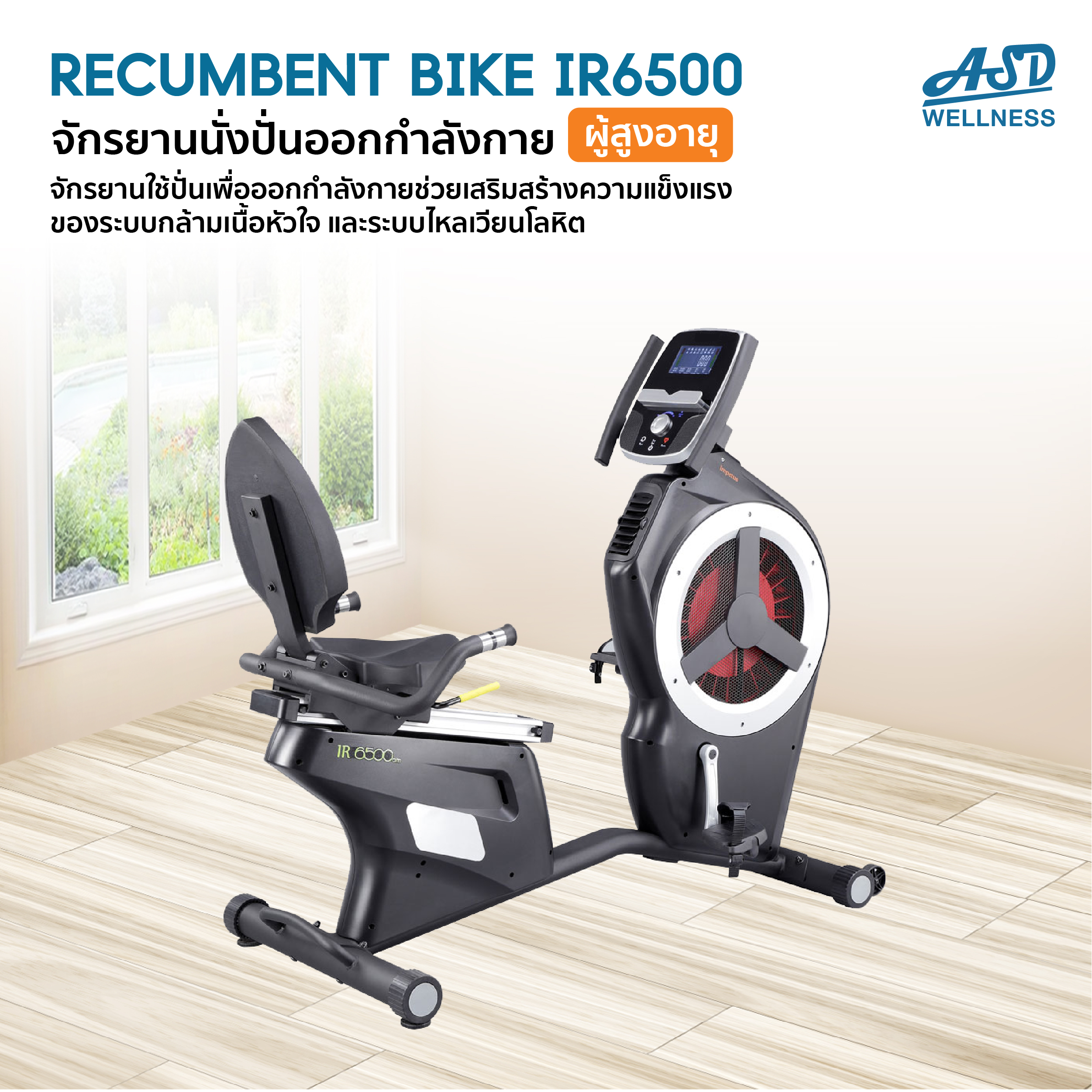 จักรยานนั่งเอนปั่นออกกำลังกาย Recumbent Bike IR6500 สำหรับผู้สูงอายุ