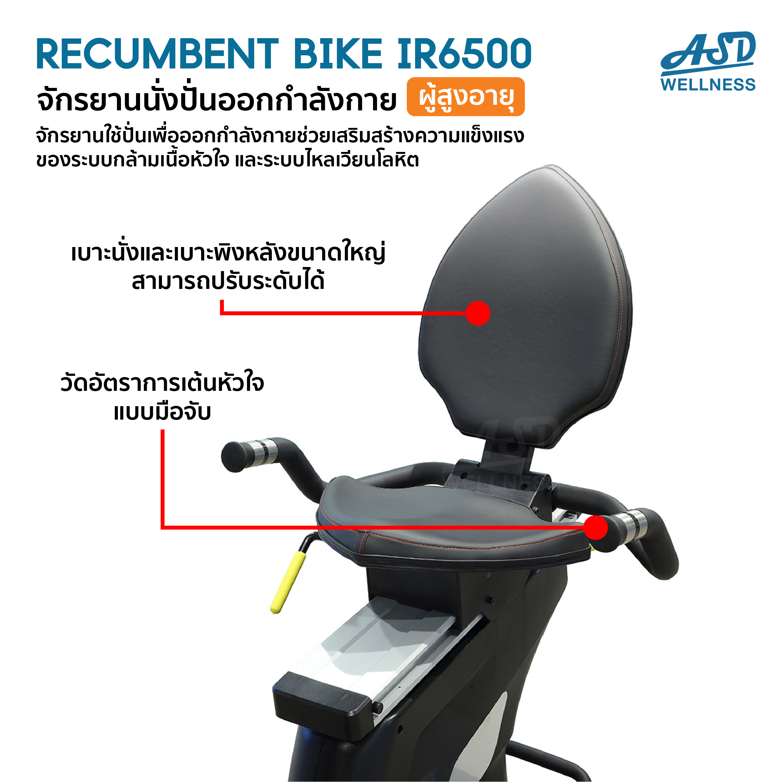 จักรยานนั่งเอนปั่นออกกำลังกาย Recumbent Bike IR6500 สำหรับผู้สูงอายุ