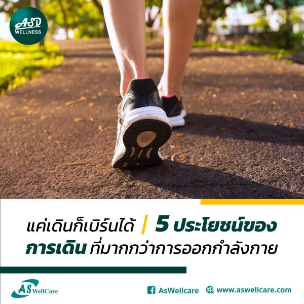 แค่เดิน ก็เบิร์นได้ 5 ประโยชน์ของการเดิน ที่มากกว่าการออกกำลังกาย