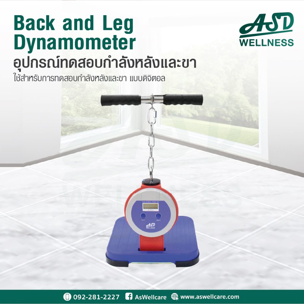 อุปกรณ์ทดสอบกำลังหลังและขา (Back and Leg Dynamometer) (เครื่องวัดกำลังหลังและขาแบบดิจิตอล TKK 5402)  