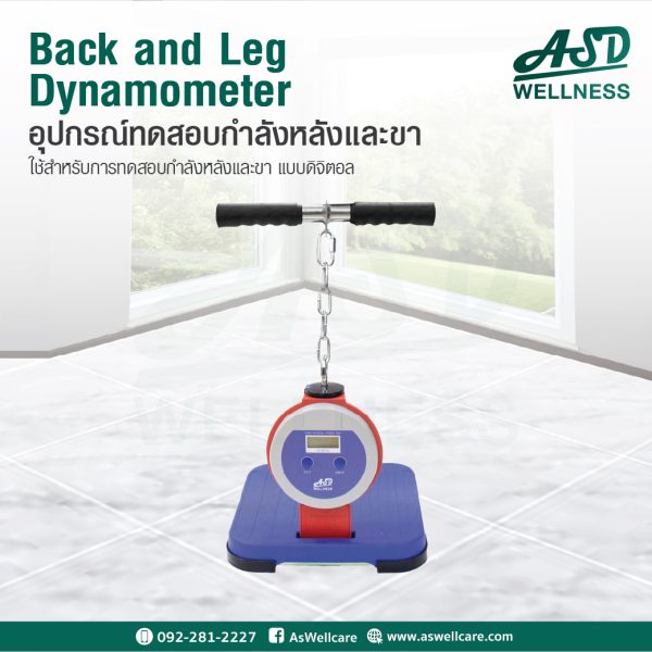 อุปกรณ์ทดสอบกำลังหลังและขา (Back and Leg Dynamometer) (เครื่องวัดกำลังหลังและขาแบบดิจิตอล TKK 5402)  