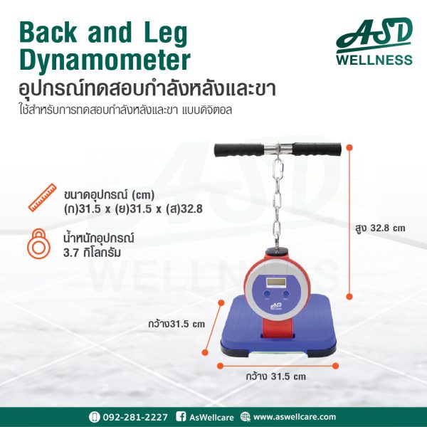 อุปกรณ์ทดสอบกำลังหลังและขา (Back and Leg Dynamometer) (เครื่องวัดกำลังหลังและขาแบบดิจิตอล TKK 5402)  