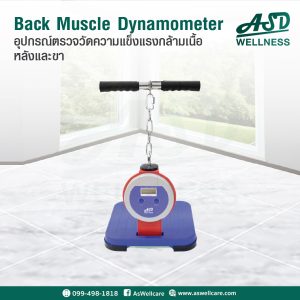 อุปกรณ์ตรวจวัดความแข็งแรงกล้ามเนื้อหลัง และขา (Back Muscle Dynamometer) รุ่น T.K.K.5402 Back D