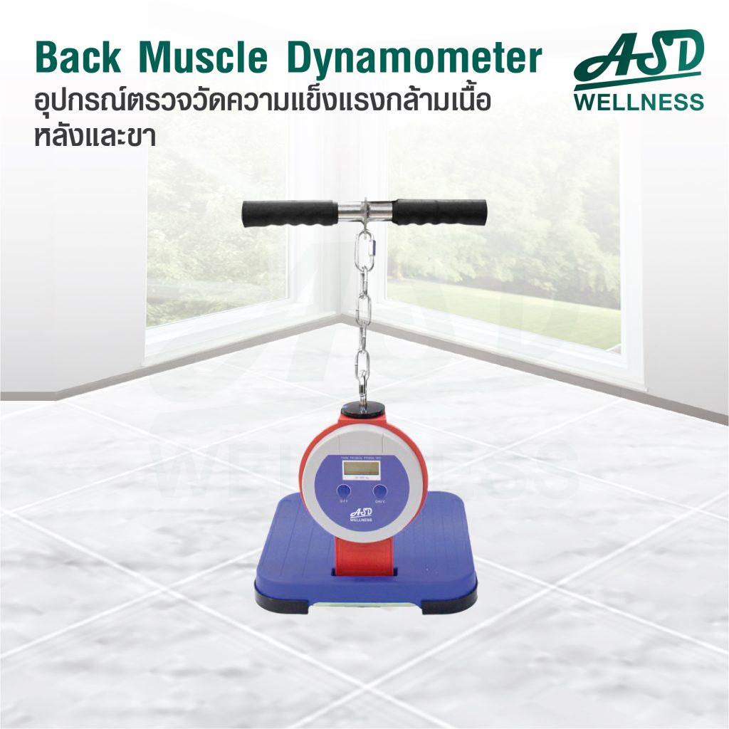 อุปกรณ์ตรวจวัดความแข็งแรงกล้ามเนื้อหลัง และขา (Back Muscle Dynamometer) รุ่น T.K.K.5402 Back D
