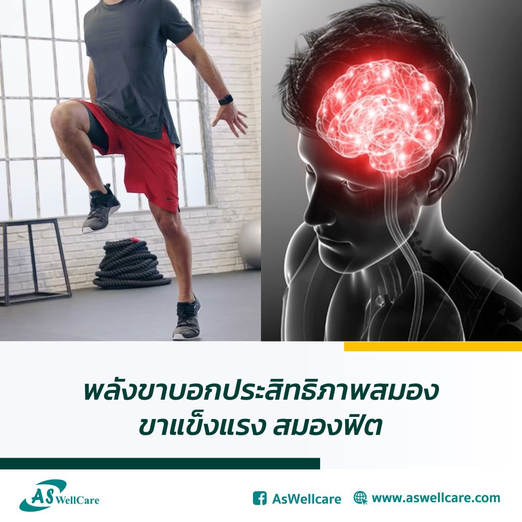 พลังขาบอกประสิทธิภาพสมอง ขาแข็งแรง สมองฟิต