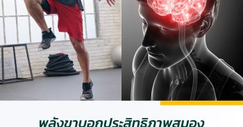 พลังขาบอกประสิทธิภาพสมอง ขาแข็งแรง สมองฟิต