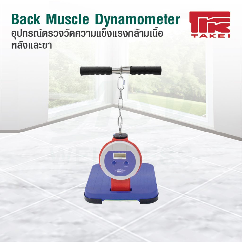 อุปกรณ์ตรวจวัดความแข็งแรงกล้ามเนื้อหลัง และขา (Back Muscle Dynamometer) รุ่น T.K.K.5402 Back D
